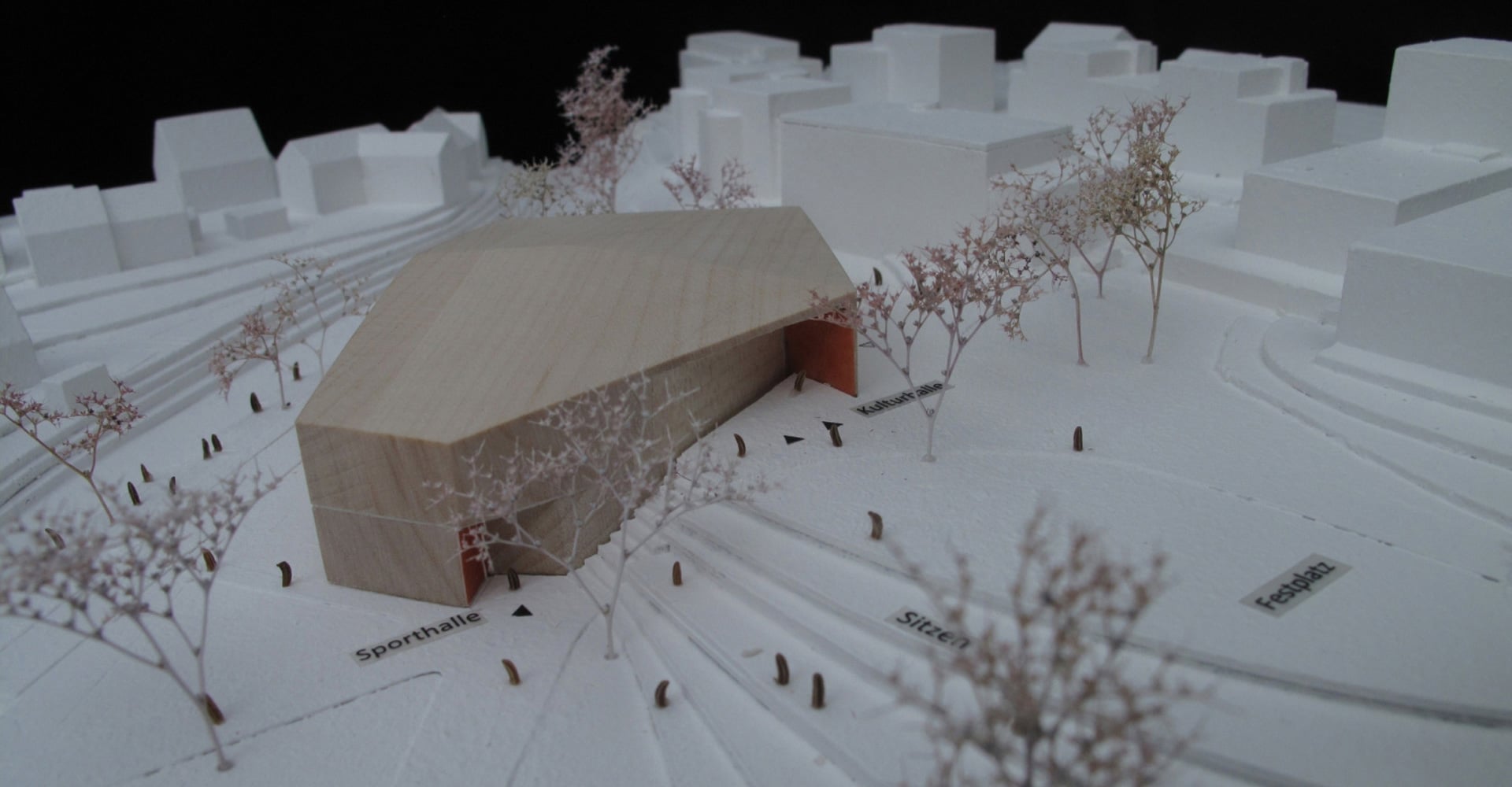 Sport- und Kulturhalle, Dußlingen